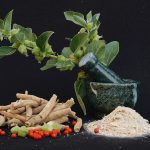 Ashwagandha Pflanze in einem Mörser. Davor Ashwagandha-Wurzeln in Stücken und fein gemahlen