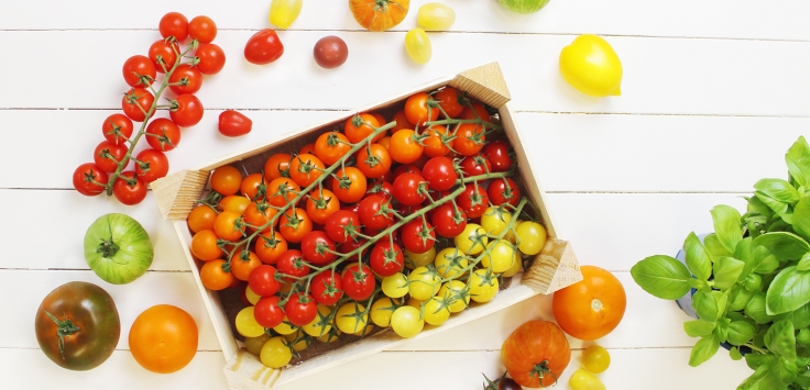 Der Grosse Tomaten Guide Alles Was Du Uber Tomaten Wissen Solltest Rezept